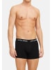 Jack & Jones Retro Short / Pant Rob Solid in Grün / lila / schwarz