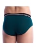 Abanderado Slip in Green