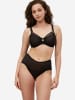 Triumph Bügel-BH Red Label Triumph Signature Sheer in Black