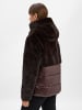 BLAUER USA Steppjacke in schoko