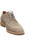 Floris van Bommel Schnürschuh in beige