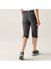 Regatta 3/4 Capri Hose Xert Stretch Wanderhose in Seal Grey