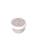 Mepal Fruchtbox Campus (2026) in Sunshine & Rainbow 300 ml
