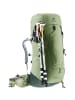 Deuter Aircontact Lite 45 + 10 SL in Schilf1214