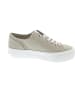 Calvin Klein Vulc Flatform Low Sneaker low Beige
