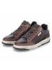 Bullboxer Low Sneaker in braun