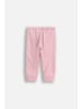 Coccodrillo Velours-Jogginghose in gedämpftes Rosa