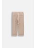 Coccodrillo Elegante Strickhose in beige
