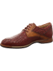 Galizio Torresi Schnürschuh in braun