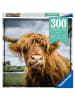 Ravensburger Ravensburger Puzzle Moment 13273 - Highland Cattle - 300 Teile Puzzle für...