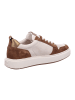 Paul Green Sneaker Low in beige