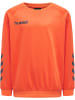 Hummel Hummel Sweatshirt Hmlpromo Multisport Kinder in NASTURTIUM **DO NOT USE