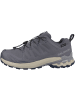 SALOMON Laufschuhe XA PRO 3D V9 GTX in blau
