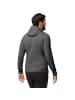 Jack Wolfskin BAISELBERG HOODED FZ M in Grau0699