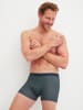 Calida New Boxer in dark glen