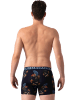 Muchachomalo 2er-Set: Boxershorts in Multicolor/Blue