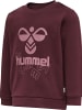 Hummel Sweatshirt Hmlspirit Lebensstil Jungen in WINDSOR WINE