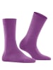 Falke Socken Softmerino in Phlox
