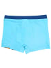 Dragon Ball Badehose Dragon Ball in Blau