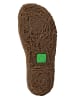 El Naturalista Stiefeletten braun