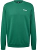 Hummel Pullover in Grün