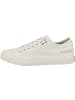 Palladium Sneaker low Palla Ace Canvas in weiss