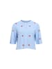 Object Pullover in serenity