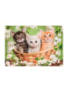 Clementoni Tiere Brothers in Fur 2x60-teiliges Puzzle Clementoni