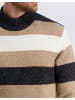 Pierre Cardin Pullover in Anthra