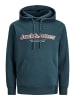 Jack & Jones Sweatshirt JORLAKEWOOD in Grün