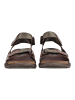 Pikolinos Sandalen Dunkelbraun