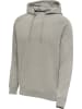 Hummel Hoodie "Hmlred Classic Hoodie" in Grau