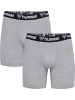 Hummel 2-er Pack Retro Boxershorts Trunks Set Unterwäsche HMLBOXERS in Grau