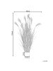 Beliani Kunstpflanze CLAW FLOWER in Grün/Braun/Schwarz - (W) 60 x (H) 150 x (L) 60 cm