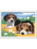Ravensburger Ravensburger Malprodukte Jack Russell Welpen in bunt