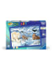 Ravensburger Ravensburger Malprodukte Tiere der Arktis in bunt