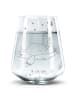 Mr. & Mrs. Panda Trinkglas Fuchs Sterne ohne Spruch in Transparent