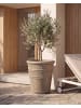 Beliani Outdoor Blumentopf AGISTRI in Beige - (W) 46 x (H) 47 x (L) 46 cm