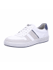 Pius Gabor Sneaker für Herren in offwhite