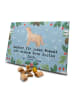 Mr. & Mrs. Panda Adventskalender Hund Nova Scotia Duck Moment mi... in Eisblau