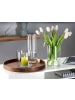 Ritzenhoff & Breker 3-tlg. Vasen-Set Leonie in in transparent