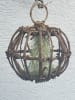 exotic living Hanging Ball XXL 30cm mit Tillandsie spanisch Moos