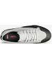 Globe Skaterschuhe Surplus Undyed Black