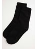 Coccodrillo Socken in schwarz