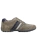 Camel Active Sneaker in grau