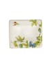 Villeroy & Boch Suppenteller Amazonia 24 x 21 cm in bunt