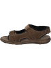 Josef Seibel Sandale Vincent 08 in braun