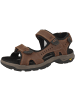 Camel Active Sandale 58RIA01 in braun