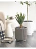 Beliani Outdoor Blumentopf DARIA in Beige - (W) 30 x (H) 30 x (L) 30 cm