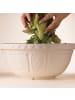 Mason Cash MASON CASH | Rührschüssel, MIXING BOWL, creme, 4 L